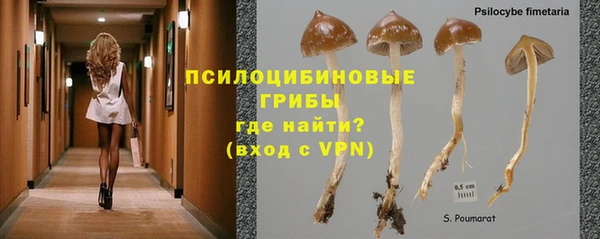 наркотики Тайга