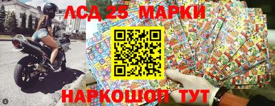 гидропоника Бийск
