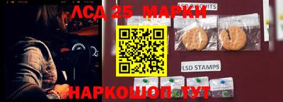 дурь Берёзовский