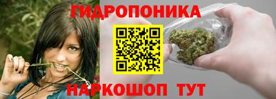 дурь Берёзовский