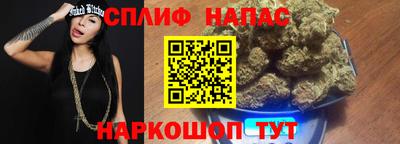 гидропоника Бийск